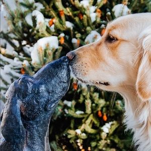 Meet your Posher, Melina